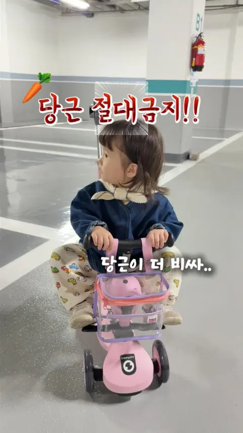 심플리티 킥보드+가방 공구