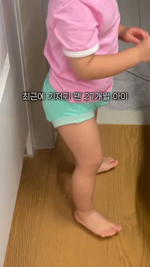 보드리 사계절 배변패드 공구