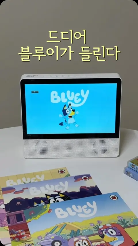 블루이 스터디 공구