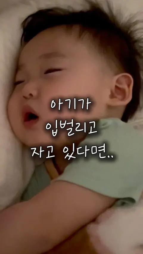 코알라밤 베스 공구