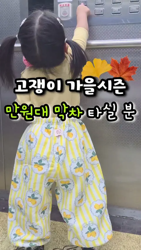 올유베베 고쟁이 공구