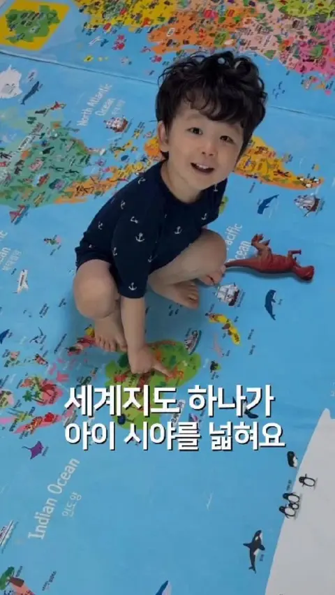 에이든 세계지도 4계절 러그 공구