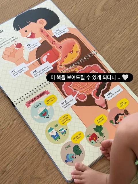 마이 퍼스트 디스커버리 10권세트 공구 사진