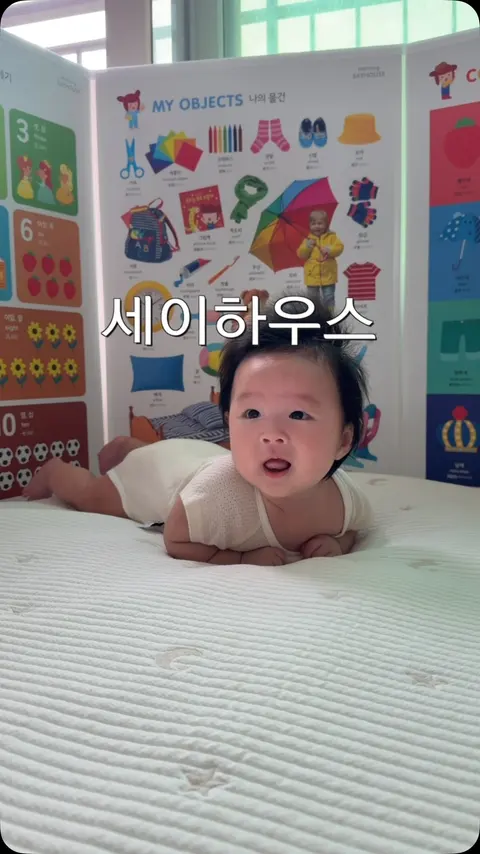 하뚱 아기병풍, 세이하우스 공구