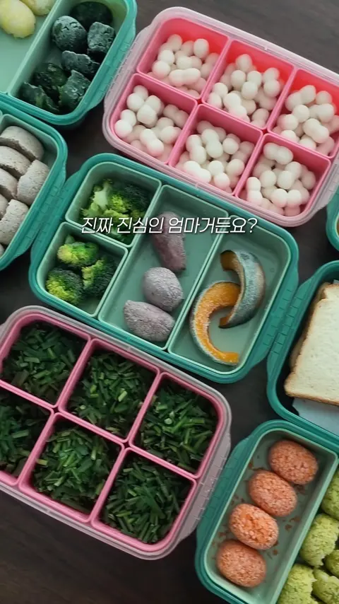 슈베가든 프리미엄 익힌다진큐브 공구